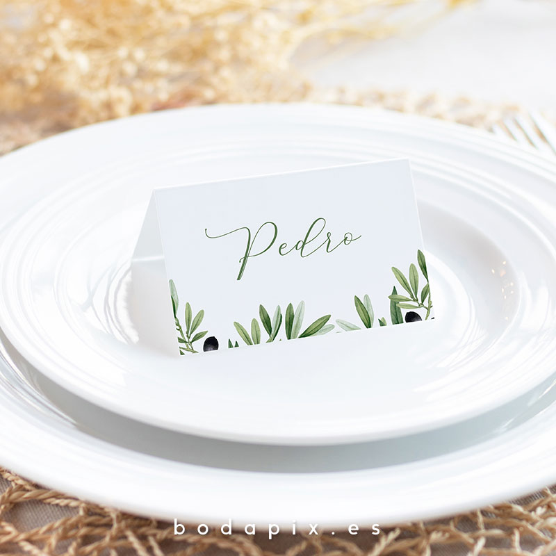 marcasitios sittings boda olivo