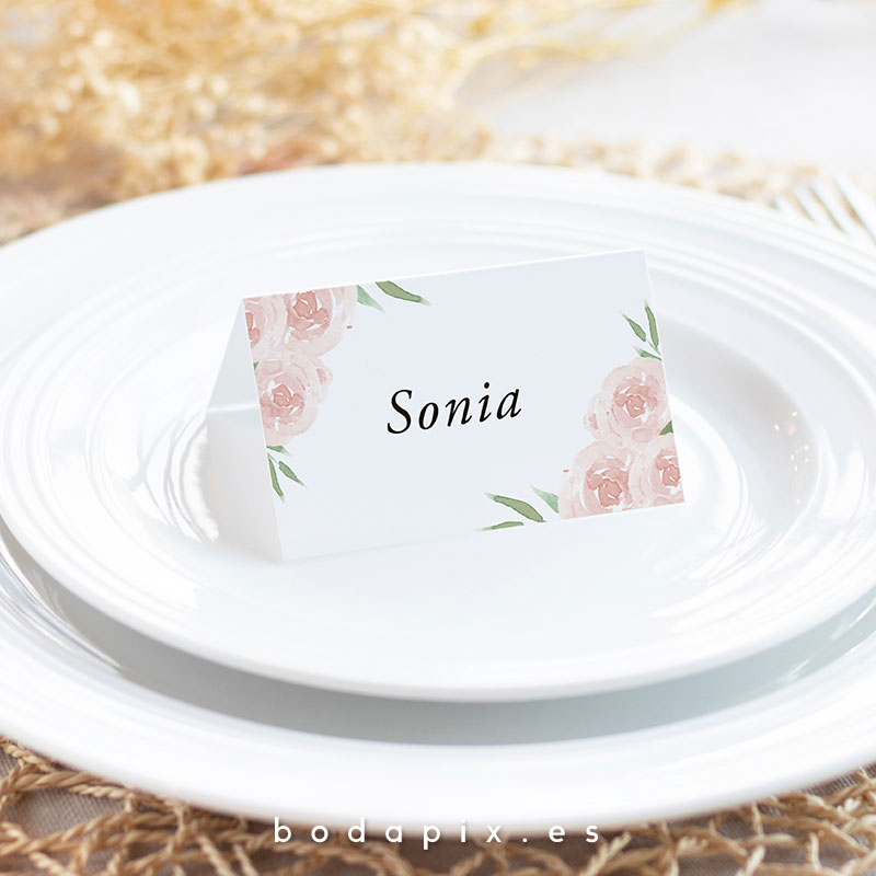 marcasitios sittings boda pink palace