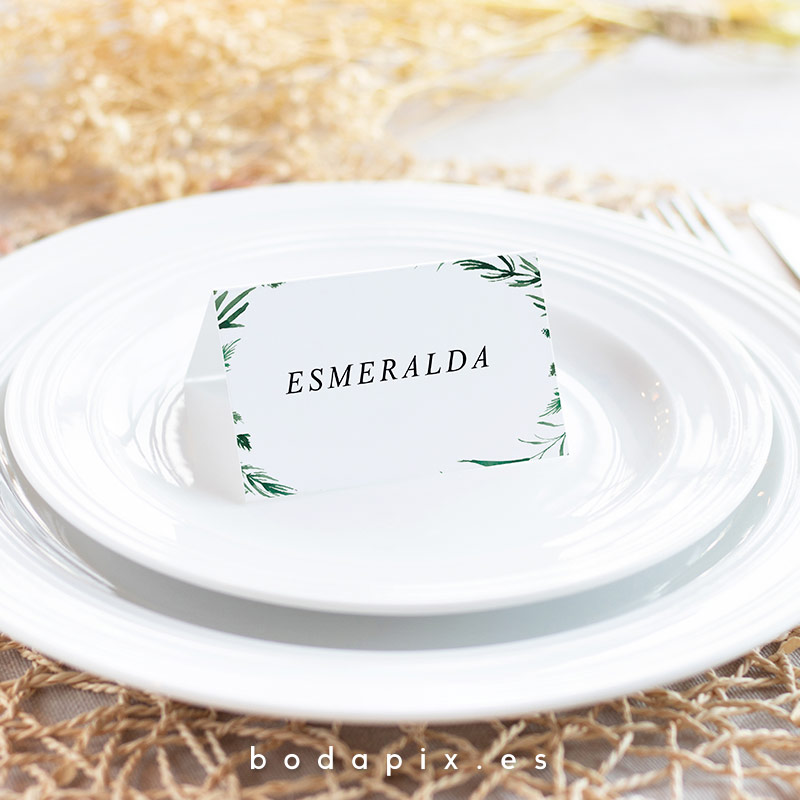 marcasitios sittings boda forest