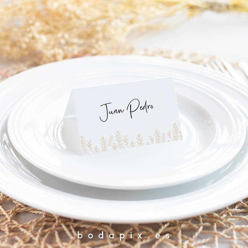 marcasitios sittings boda date