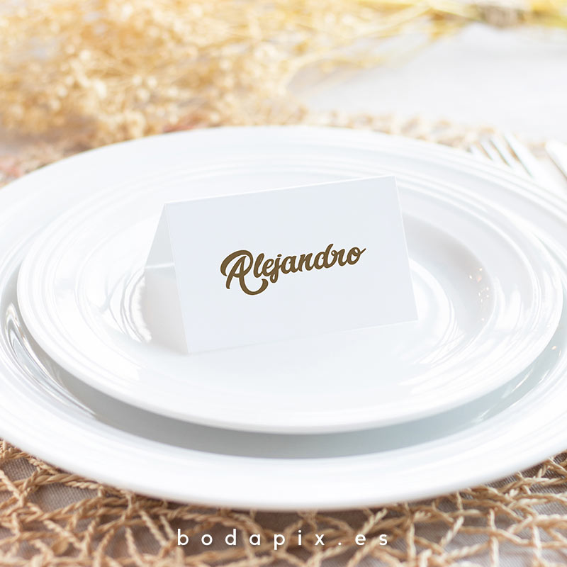 marcasitios boda trip