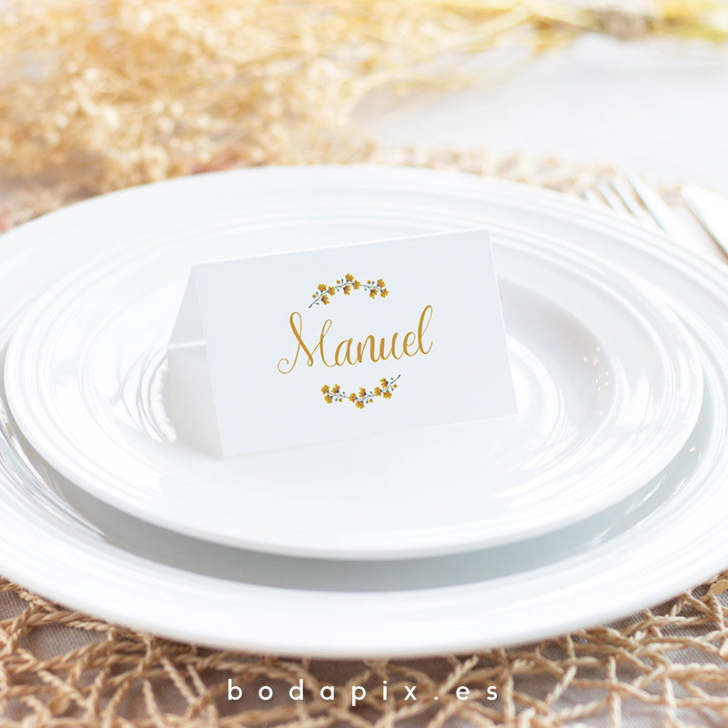 marcasitios sittings boda maya