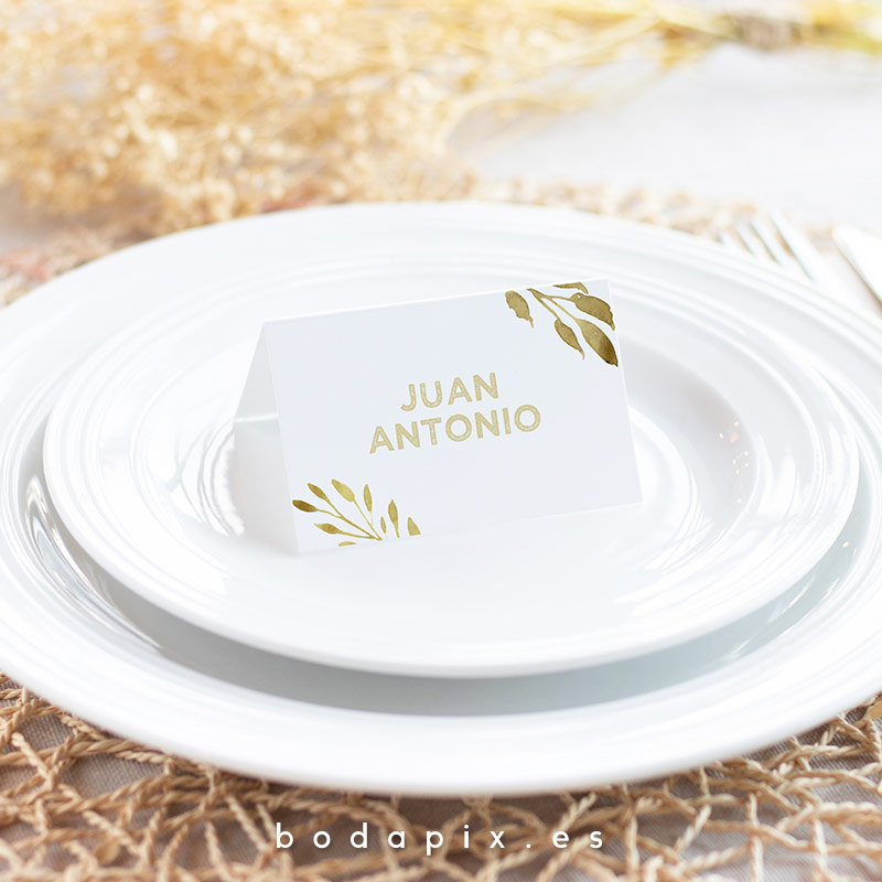 marcasitios sittings boda personalizado dalia