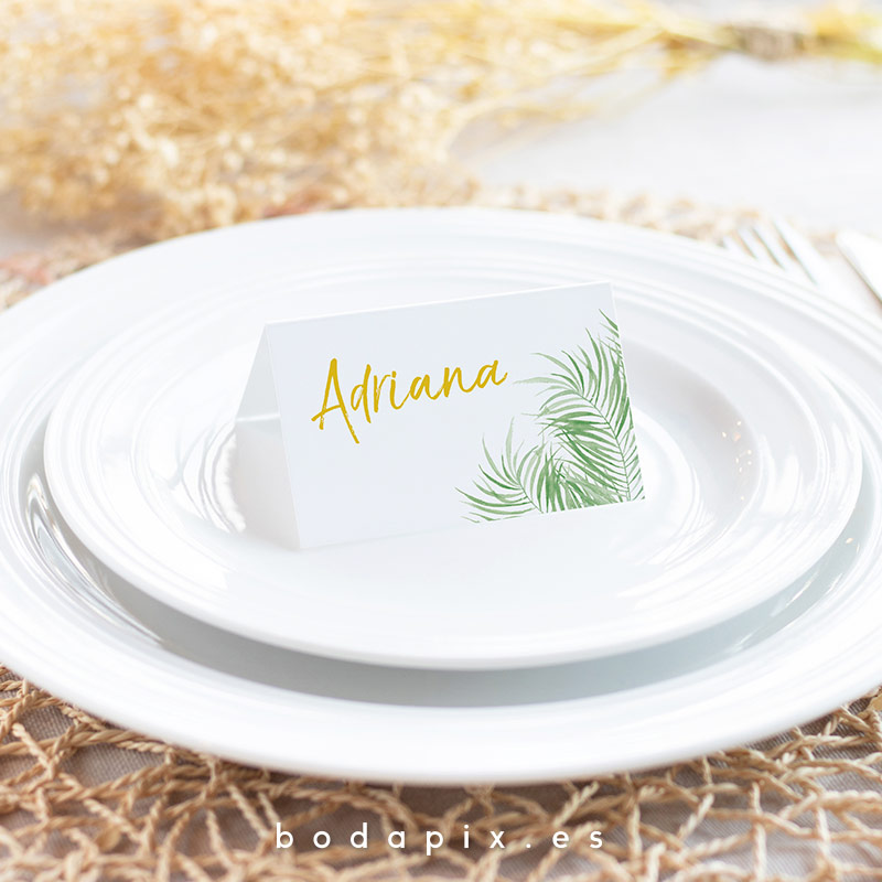 marcasitios para bodas tropicales